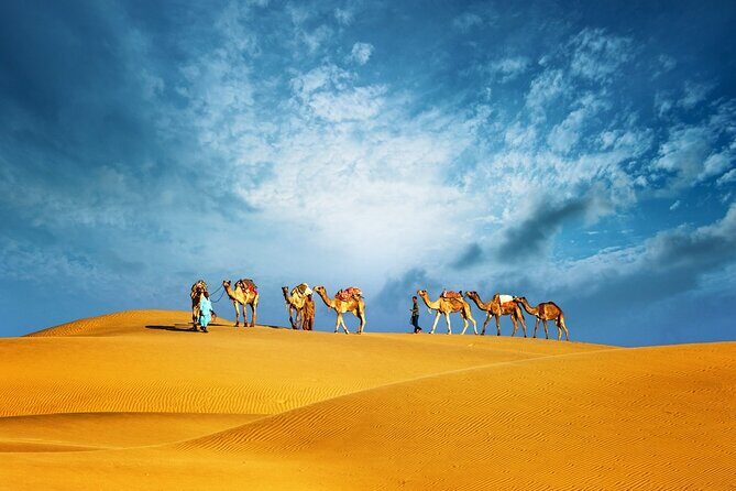Abu Dhabi Evening Desert Safari Adventure - Key Highlights You’ll Notice Right Away