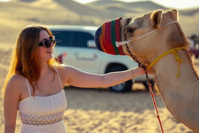 Abu Dhabi Evening Desert Safari - Dune bashing Camel ride and BBQ - Camel farm visit: more than a photo stop