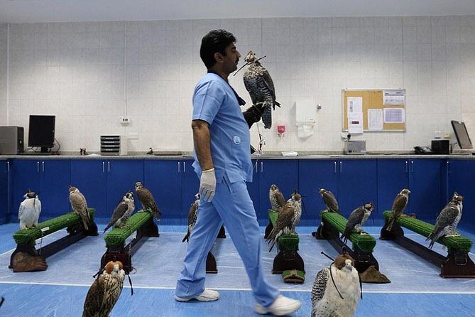 Abu Dhabi Falcon Hospital Tour - The museum stop: old falconry equipment and Bedouin context