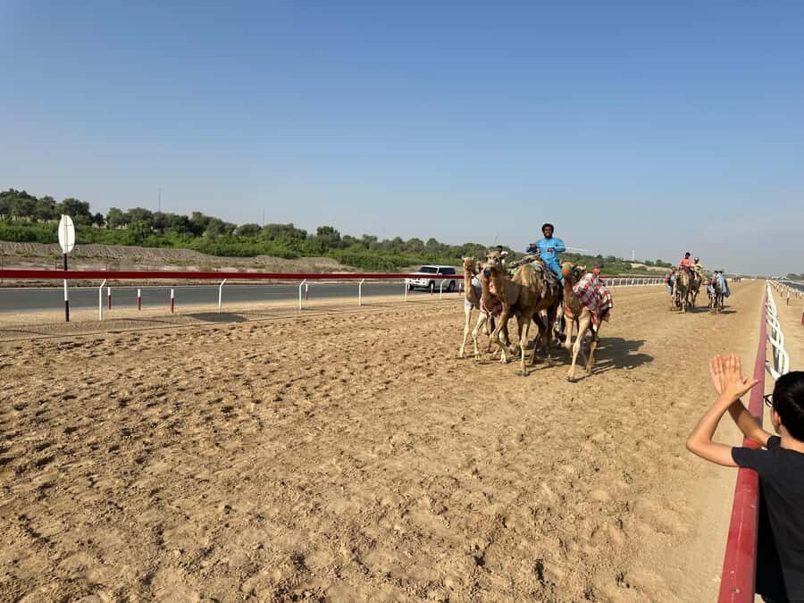 Abu Dhabi: Fossil Dune, Salt Lake and Camel Race Track Tour - Who this tour suits best