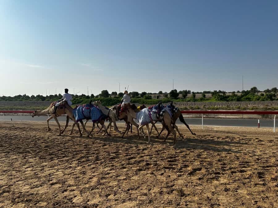 Abu Dhabi: Fossil Dune, Salt Lake and Camel Race Track Tour - Should you book this tour?