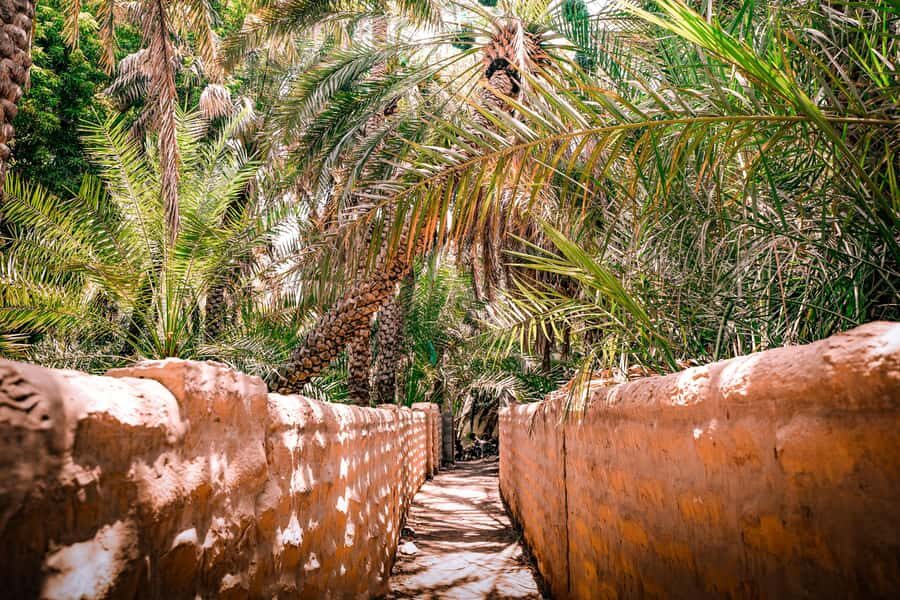 Abu Dhabi: Full-Day Al Ain Tour with Entry Tickets and Meal - Weather, timing, and group size: small details that change the feel