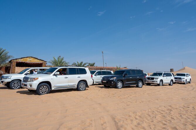 Abu Dhabi Full-Day Desert Safari - Dune bashing and the vantage point stop