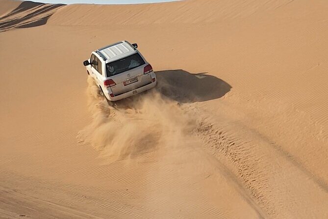 Abu Dhabi Full-Day Desert Safari - The value behind the $80.93 price tag
