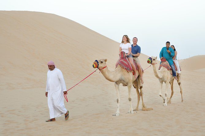 Abu Dhabi Half Day Desert Safari - From Abu Dhabi to the Desert: Why This 6-Hour Format Works