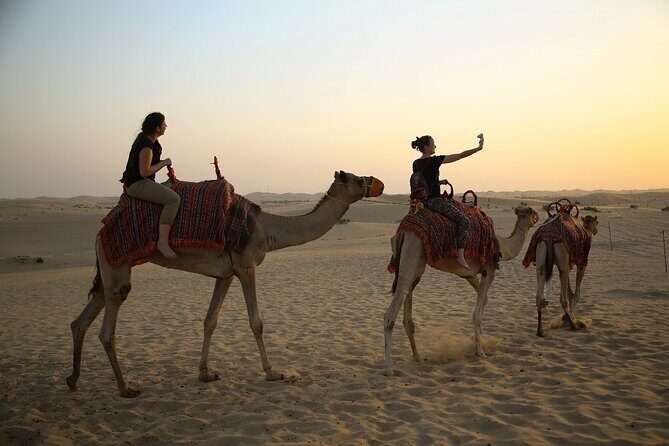 Abu Dhabi Half Day Desert Safari - Camel Riding, Desert Camp Flow, and Bedouin-Style Activities