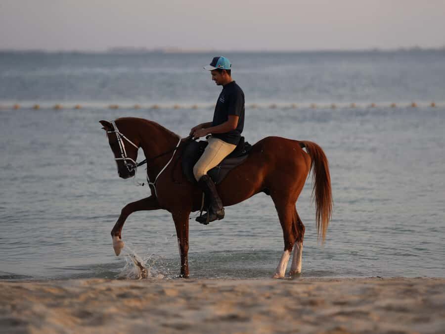 Abu Dhabi: Hudairiyat Island Horse Riding Experiences - Hudairiyat Island: why the setting matters more than the tack