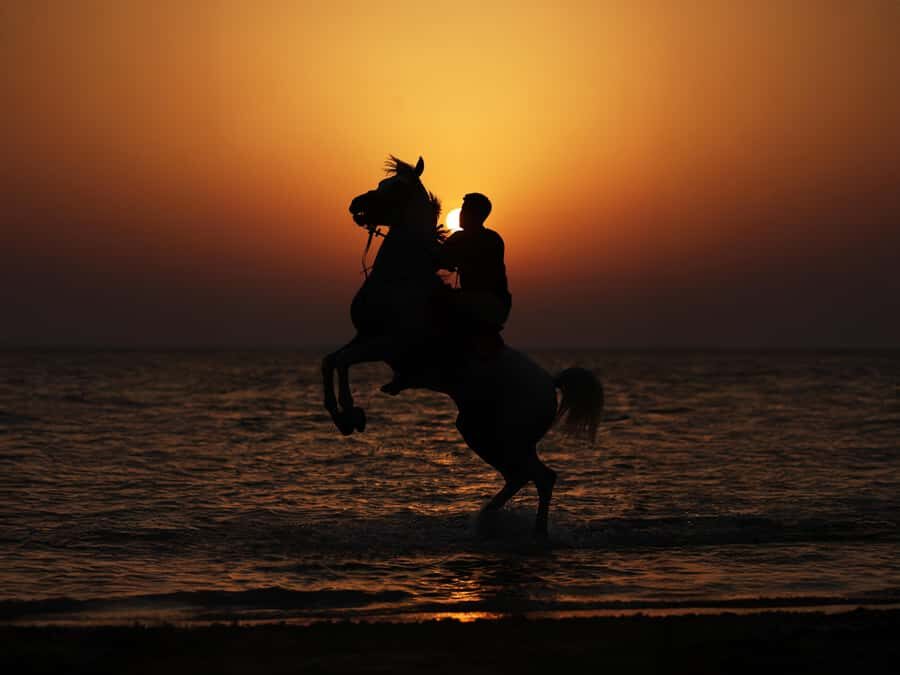 Abu Dhabi: Hudairiyat Island Horse Riding Experiences - Your options: beach ride, moonlit shoreline, pony intro, and swimming
