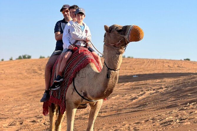 Abu Dhabi morning desert safari - Private car - Private car logistics: fewer delays, more dune time
