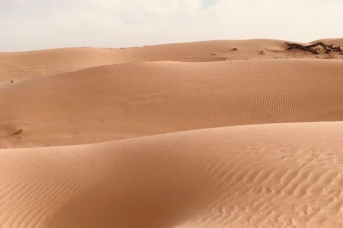 Abu Dhabi Morning Desert Safari,Dune Bashing,Sandboarding,Camel Riding&Quad Bike - The Human Touch: Guides Like Basith, Nazar, and Sanal