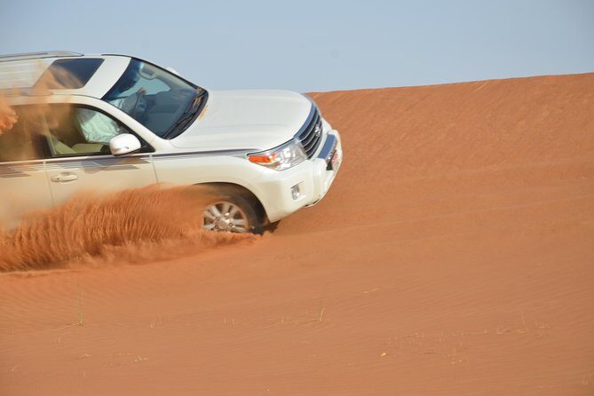 Abu Dhabi Morning Safari - Price and Value: What $55 Gets You in Real Terms