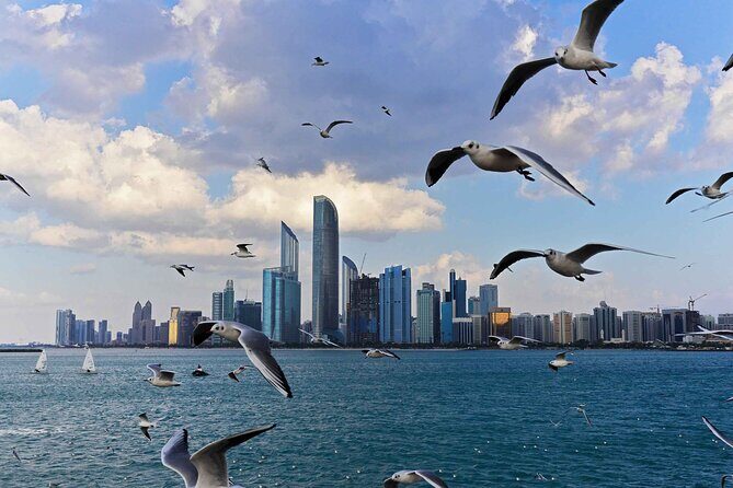 Abu Dhabi Private Full Day City Tour From Dubai - Yas Island: F1 Energy, Plus a Real Chance at Good Photos