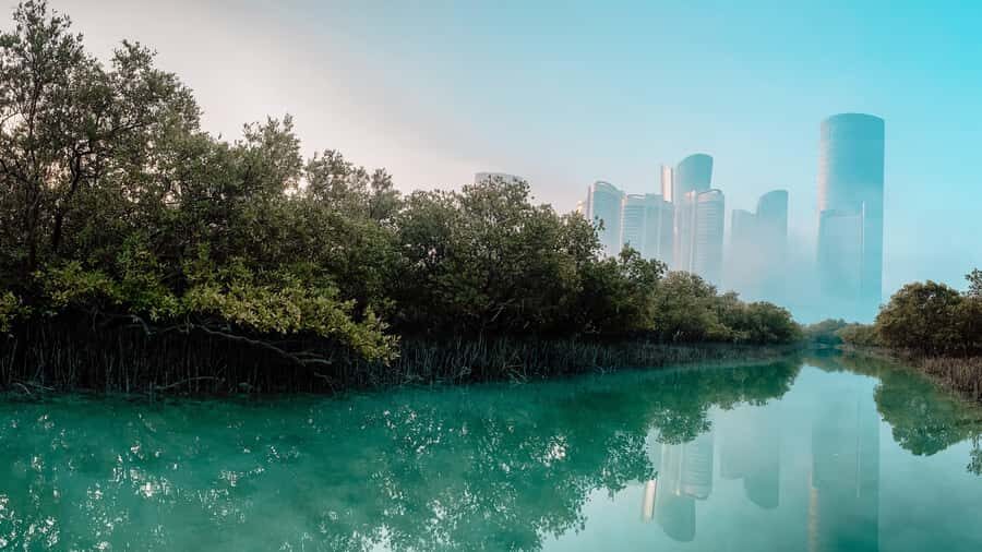 Abu Dhabi: Reem Central Park 2-hour Guided Kayak Tour - Key things that make this kayak tour worth your time