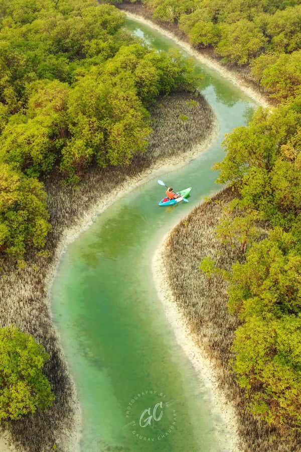 Abu Dhabi: Reem Central Park 2-hour Guided Kayak Tour - Reem Central Park kayaking: why this spot feels special