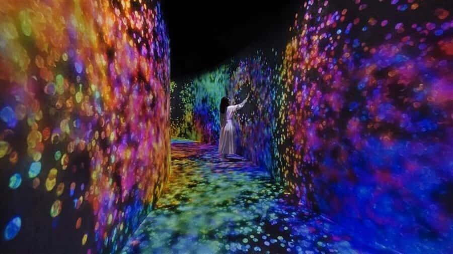 Abu Dhabi: teamLab Phenomena Entry Ticket - Key things to know before you go