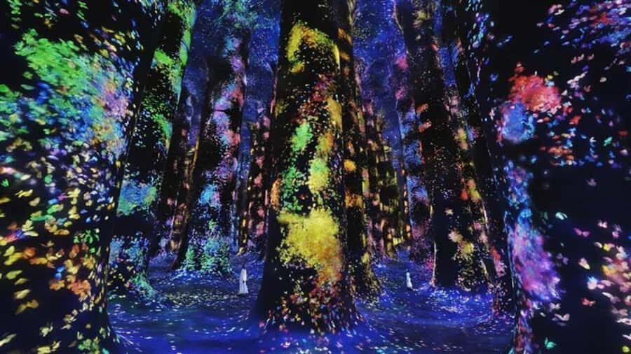 Abu Dhabi: teamLab Phenomena Entry Ticket - Saadiyat Cultural District and the 17,000-square-meter setup