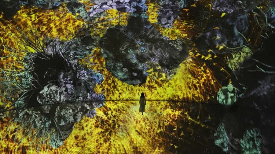 Abu Dhabi: teamLab Phenomena Entry Ticket - Water particle installations: the science you can see