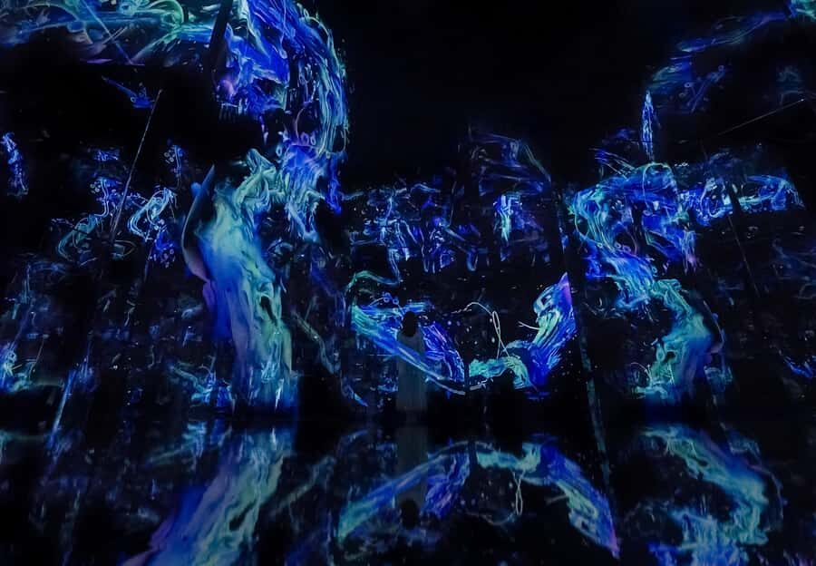 Abu Dhabi: teamLab Phenomena Entry Ticket - Birds, motion, and the feeling of being watched by art