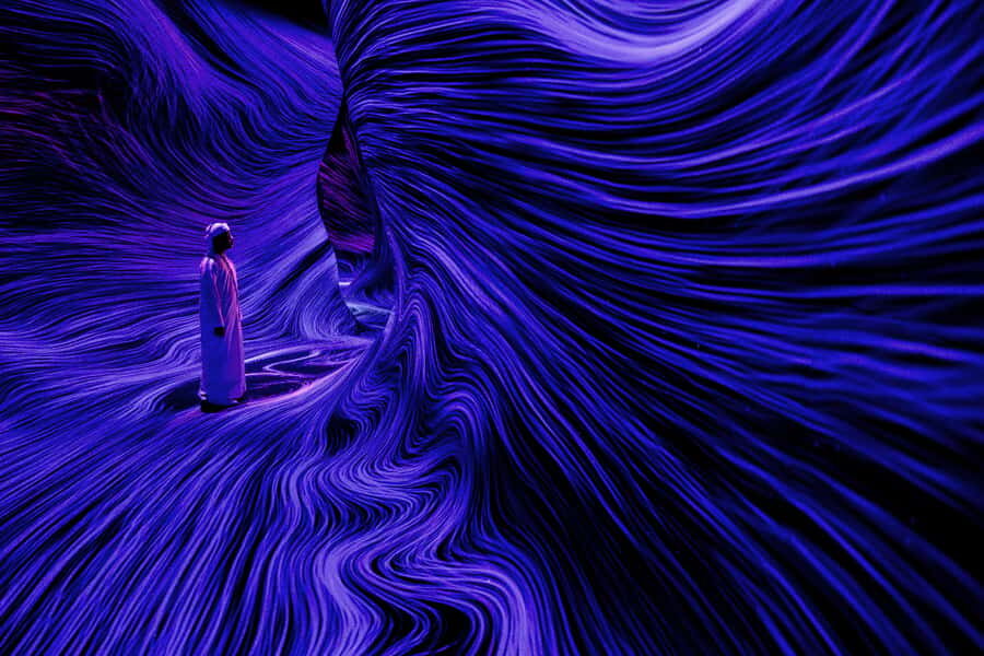 Abu Dhabi: teamLab Phenomena Entry Ticket - Tickets, timed entry, and when to avoid the adults-only window