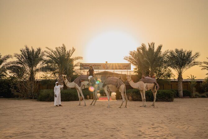 Adrenaline combo : Desert activities + ATV or Quad bike option - Price and value: what $219.20 per group really buys