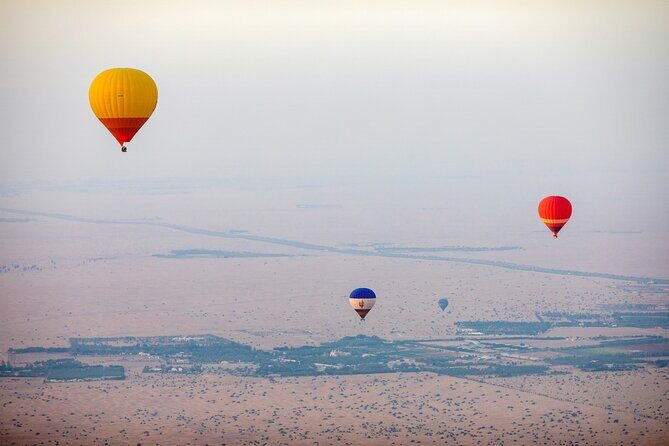 Adventure Hot Air Balloon with Buffet Breakfast & Falcon Show - Who this tour suits best (and who should skip it)