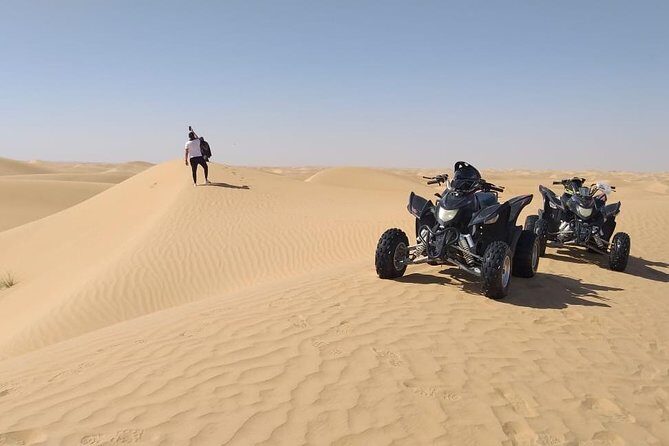 Adventure quad bike tour ( 2 hour private quad biking to deep desert ) - Camel farm stop: a bonus when timing lines up