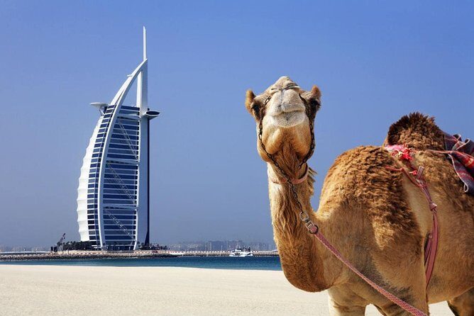 Afternoon Dubai City Iconic Skyline Tour including Transfers - Palm Jumeirah Area: Atlantis and the Souk Madinat Jumeirah Drive-By