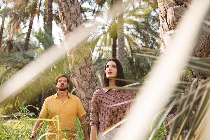 Al Ain City Tour from Dubai - What’s included (and what you’ll still need to plan)
