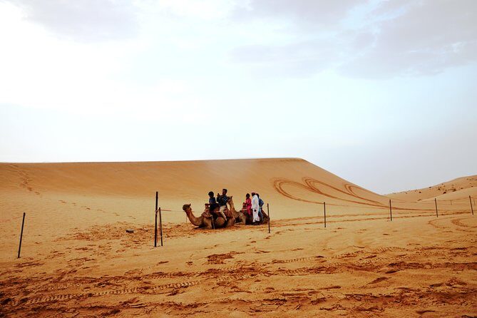 Al Ain Desert Safari with Buffet Dinner - The Main Event: Dune Bashing, Camel Ride, Sandboarding, Falcons