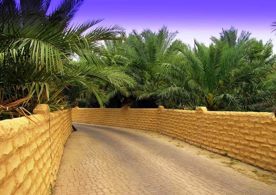 Al Ain Essentials: A Day from Abu Dhabi - Transportation and timing: pickup matters more than you think