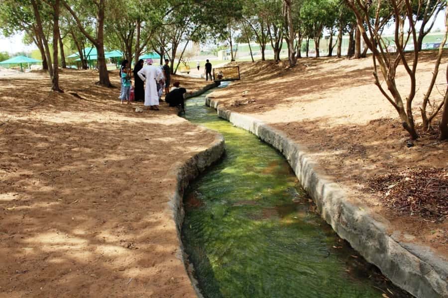 Al Ain Essentials: A Day from Abu Dhabi - Camel Race Track + camel market: culture you can see and hear