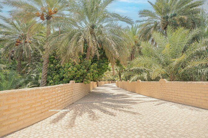 Al Ain Full Day Trip from Abu Dhabi with Lunch - Sheikh Zayed Palace Museum: what to expect with the renovation closure