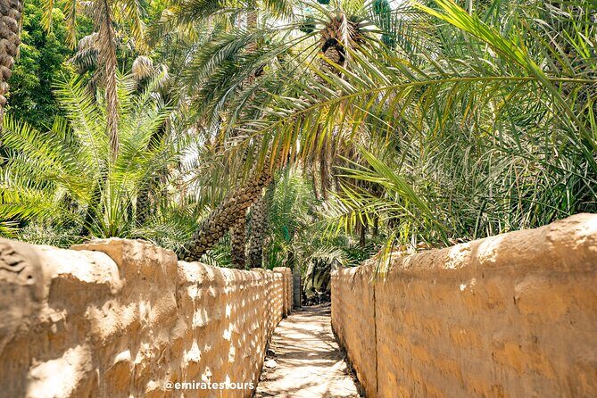 Al Ain Full Day Trip from Abu Dhabi with Lunch - Hot springs at the foothills: a relaxing bonus, not a guaranteed soak