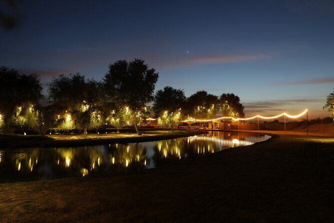 Al Marmoom Oasis Experience with Bedouin Dinner - Key things I’d focus on before you go