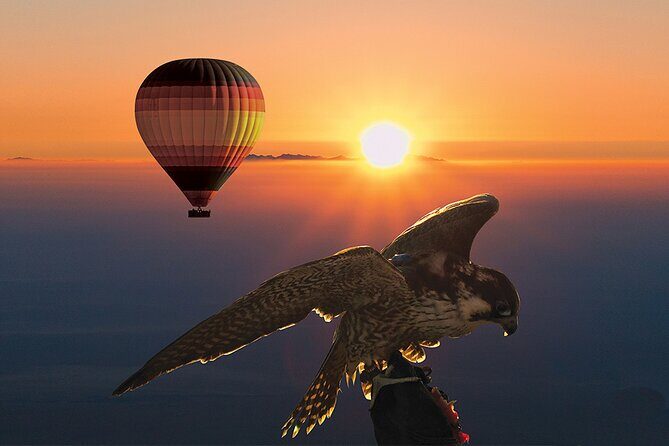 Amazing Hot Air Balloon With Beautiful Desert Sunrise View - Dubai Sunrise by Balloon: What You’re Really Signing Up For