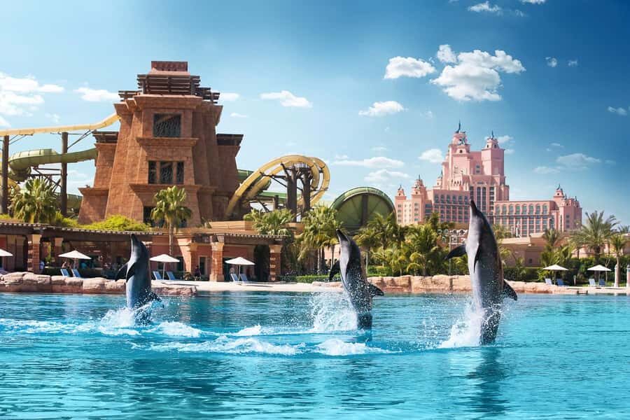 Aquaventure World: Dolphin Paddle and Waterpark Day Pass - What You Actually Get in 30 Minutes at Dolphin Bay