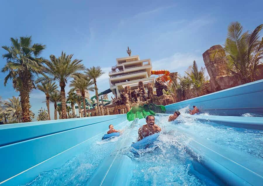 Aquaventure World: Dolphin Paddle and Waterpark Day Pass - The Dolphin Paddle: Balance, Paddling, and Dolphin Behavior