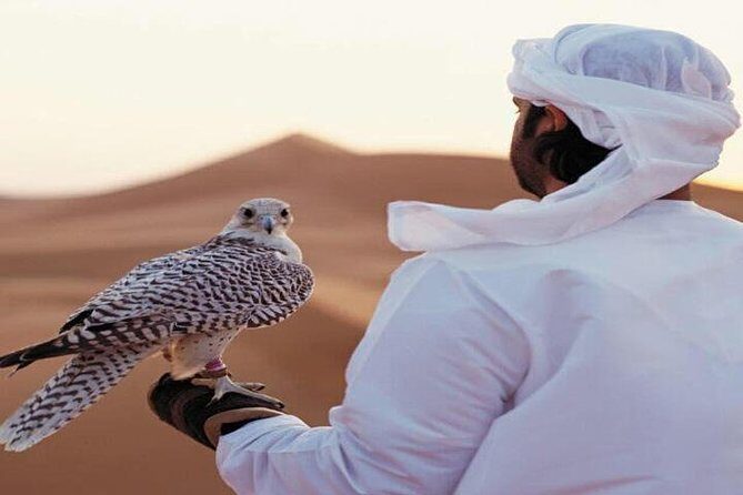 Arabian Desert Experience In Dubai - A 7-Hour Desert Mix at a City-Hotel Price