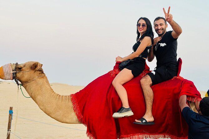 Arabian Desert Safari Abu Dhabi: 6Hour Tour with BBQ & Live Shows - Price and logistics: pickup time, group size, and add-on pitfalls