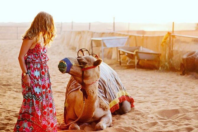 Arabian Desert Safari with BBQ Dinner Camel Ride, Sand Boarding - Shows after dark: tanoura, fire, and belly dancing limits
