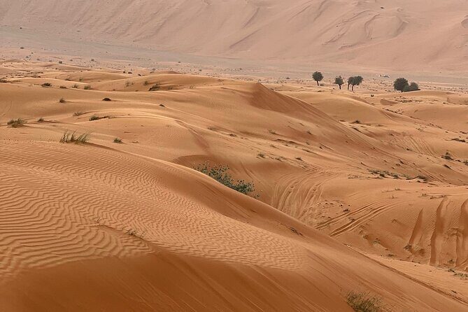 Arabian Dune Buggy Adventure - Morning vs evening: when to schedule for your vibe