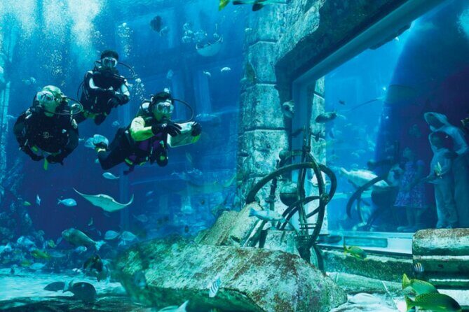 Atlantis Aquaventure and Lost Chambers Aquarium combo Ticket - Lost Chambers Aquarium: Tunnels, mazes, and the Atlantis storyworld