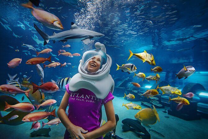 Atlantis Aquaventure and Lost Chambers Aquarium combo Ticket - What could slow you down (and how to handle it)