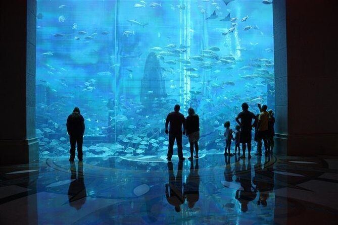 Atlantis Lost-Chamber Aquarium Dubai - Who should book Atlantis Lost Chambers Aquarium