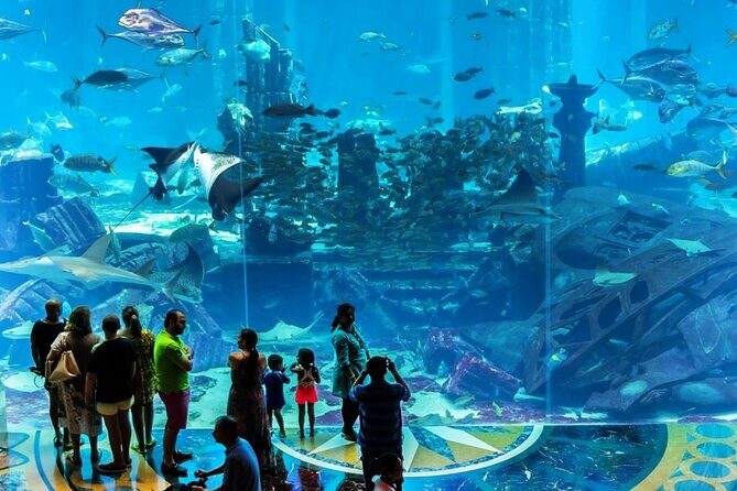 Atlantis Lost-Chamber Aquarium Dubai - Should you book it?