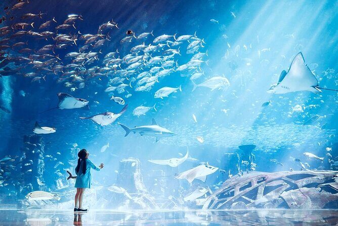 Atlantis Lost-Chamber Aquarium Dubai - Ambassadors Lagoon: sharks, rays, and the big-moment area