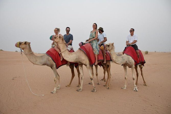 Best of Dubai : Dubai City Tour + Evening Desert Safari with all Activities - Burj Al Arab and Jumeirah: the morning starts with a skyline wow