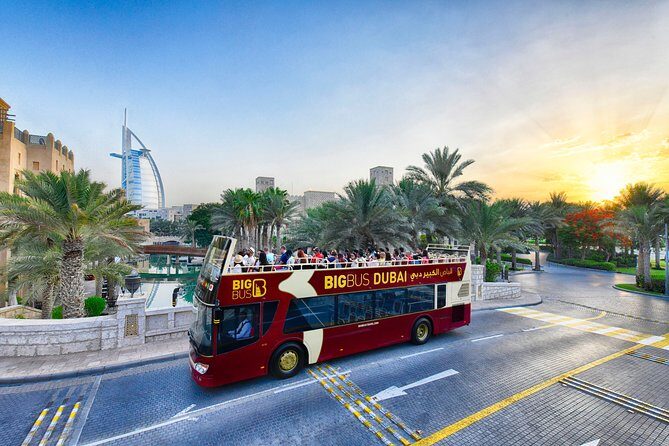Big Bus Dubai Open Top Night Tour - Price and Value: Does $51.20 Make Sense for a Night Overview?
