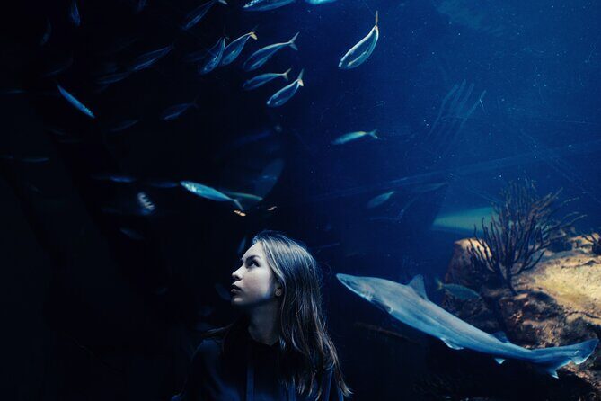 Burj Khalifa and Dubai Aquarium Combo Entrance Ticket - Stop 2: Burj Khalifa Top floors with open-air terrace views
