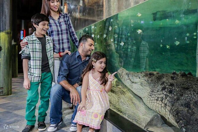 Burj Khalifa and Dubai Aquarium with Penguin Cove Combo - Timing, group size, and how to plan your 3 to 4 hours